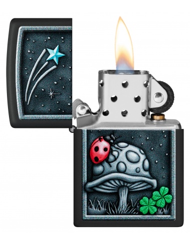 Brichetă Zippo 48724 Ladybug