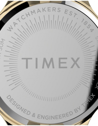 Ceas de damă Timex Dress TW2V06200