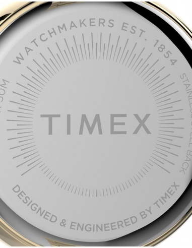 Ceas de damă Timex Dress TW2V24100