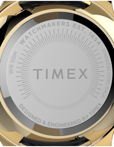 Ceas de damă Timex Dress TW2V01200