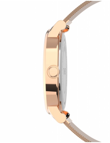 Ceas de damă Timex Originals TW2U05500