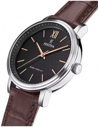 Ceas bărbătesc Festina Solar Energy F20660/6