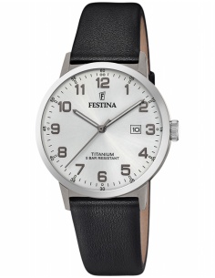 Ceas bărbătesc Festina Titanium F20471/1