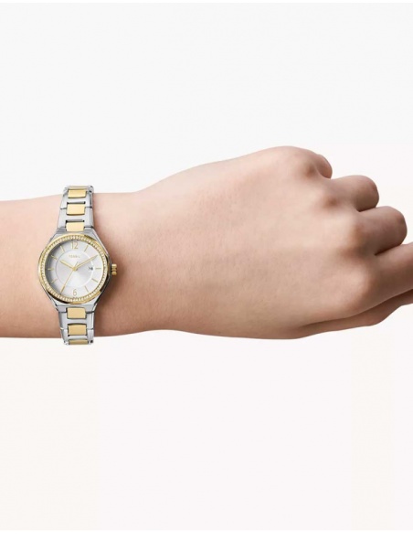 Ceas damă Fossil Eevie BQ3802