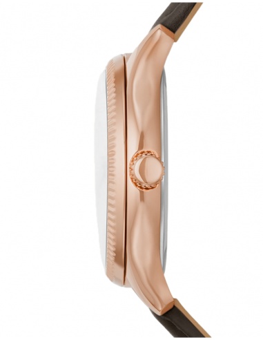 Ceas damă Fossil Rye BQ3764