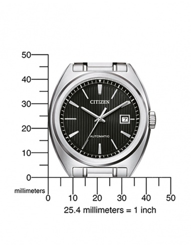 Ceas bărbătesc Citizen Basic NJ0100-71E