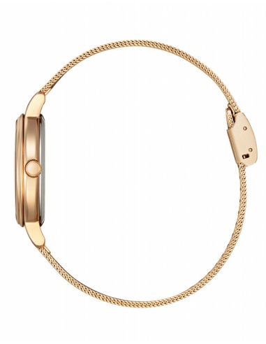 Ceas de damă Citizen Elegance EW2447-89A