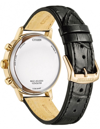 Ceas bărbătesc Citizen Chronograph CA7067-11H