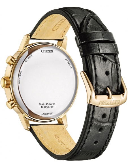 Ceas bărbătesc Citizen Chronograph CA7067-11H