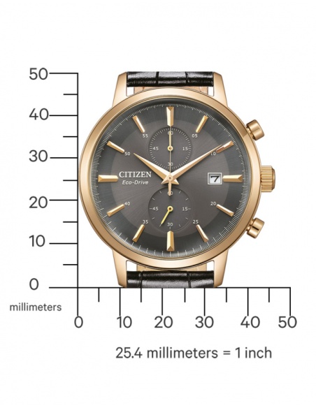 Ceas bărbătesc Citizen Chronograph CA7067-11H