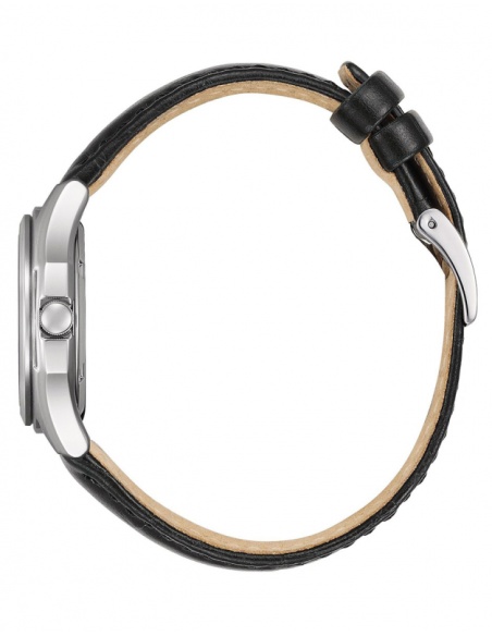 Ceas de damă Citizen Eco-Drive FE2110-14E