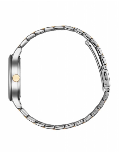 Ceas de damă Citizen Eco-Drive EM0896-89Y