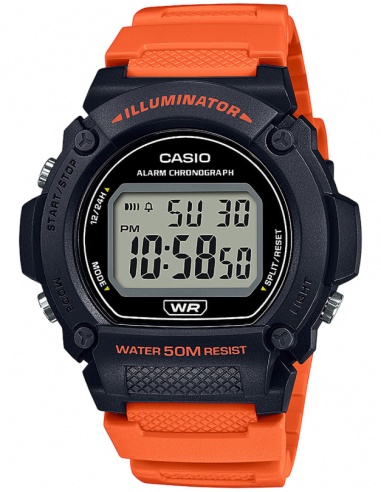 Ceas bărbătesc Casio Collection Casio W-219H-4AVEF