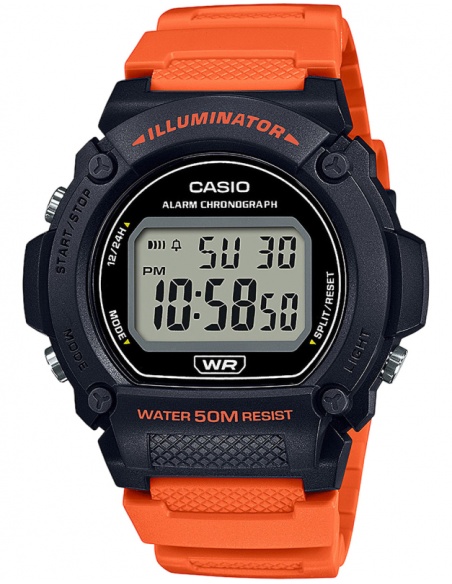 Ceas bărbătesc Casio Collection Casio W-219H-4AVEF