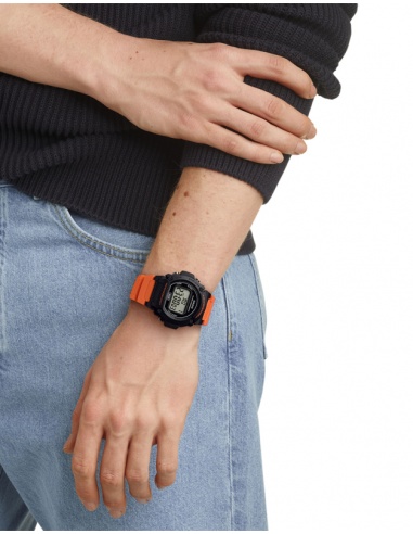 Ceas bărbătesc Casio Collection Casio W-219H-4AVEF