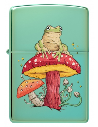 Brichetă Zippo 48973 Mystical Frog & Mushroom