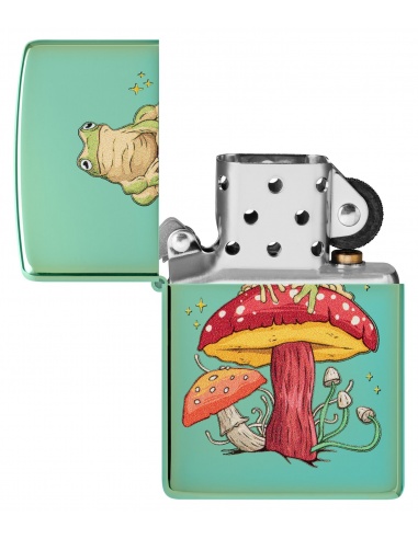 Brichetă Zippo 48973 Mystical Frog & Mushroom