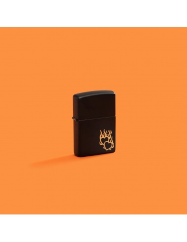 Brichetă Zippo 46004 Fire Hearts