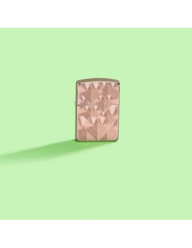 Brichetă Zippo 48919 Hearts Armor