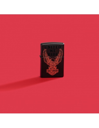 Brichetă Zippo 48983 Harley Davidson United We Ride