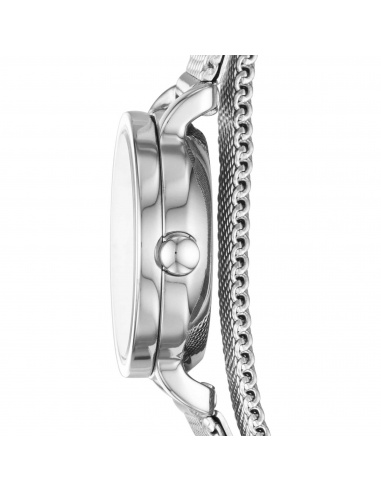 Ceas de damă Skagen Hagen SKW2601