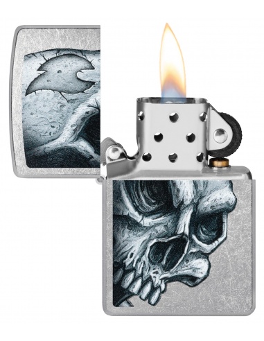 Brichetă Zippo 46587 Skull and Flame