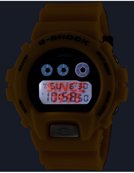 Ceas bărbătesc Casio G-Shock Classic DW-6900TR-9ER